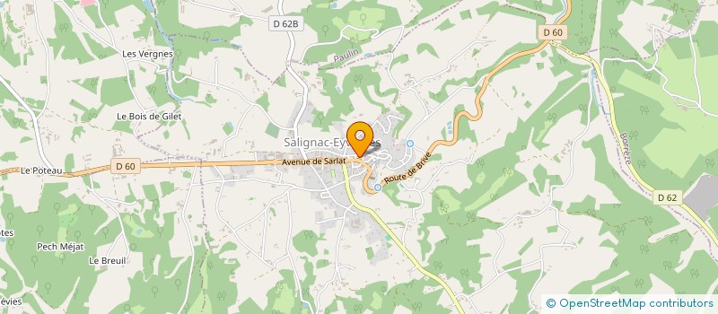 localisation de l'entreprise LA BOULE TRUFFEE  SALIGNAC-EYVIGUES