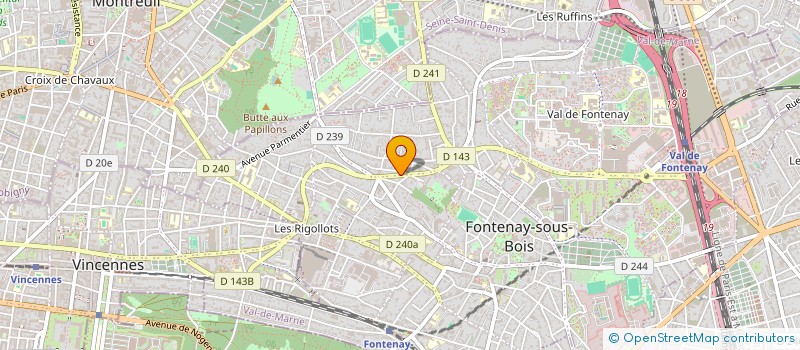 localisation de l'entreprise LA BOUTIQUE DES LOUPS à FONTENAY-SOUS-BOIS