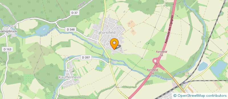 localisation de l'entreprise LA BRASERADE  FORSTFELD