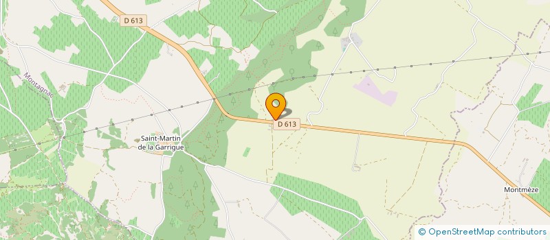 localisation de l'entreprise LA BRIFFAUDE BASSE  MONTAGNAC