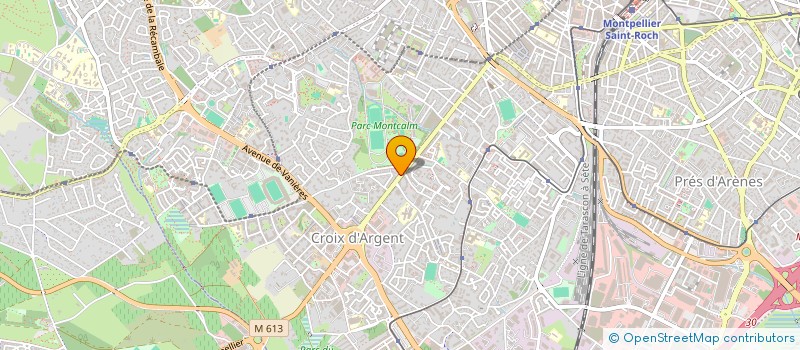 localisation de l'entreprise LA BROCHE D'OR à MONTPELLIER