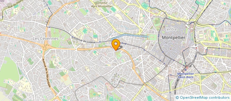 localisation de l'entreprise LA BUISSONNIERE à MONTPELLIER