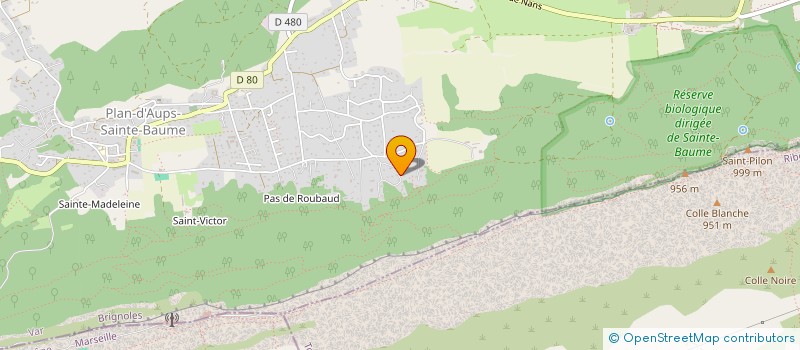 localisation de l'entreprise LA CABANE DES OURS  PLAN-D'AUPS-SAINTE-BAUME