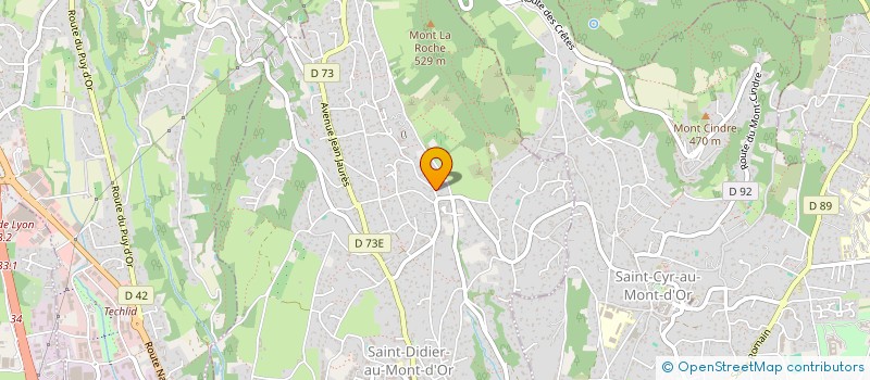 localisation de l'entreprise LA CABORNE  SAINT-DIDIER-AU-MONT-D'OR