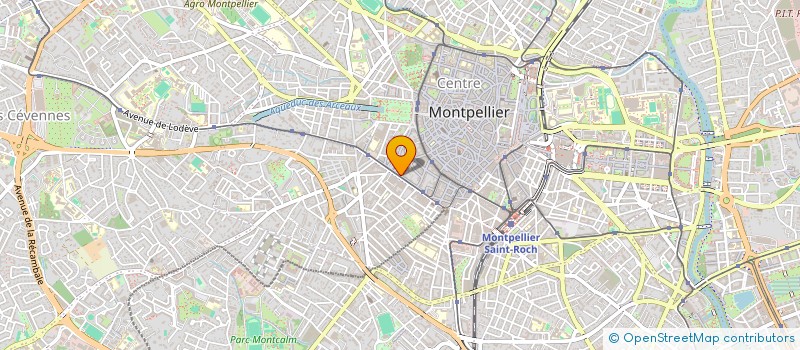 localisation de l'entreprise LA CAMIONETTA à MONTPELLIER