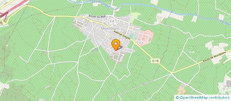 localisation de l'entreprise LA CASSE A YO  MONTBLANC