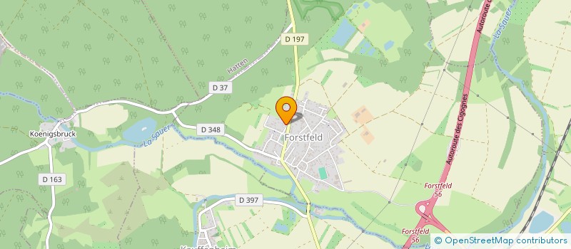 localisation de l'entreprise LA CAVE DES ANGES  FORSTFELD