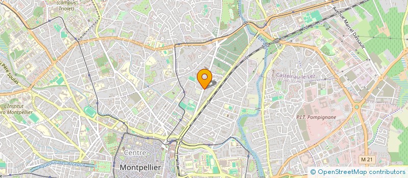 localisation de l'entreprise LA CEBOLA LOCA à MONTPELLIER