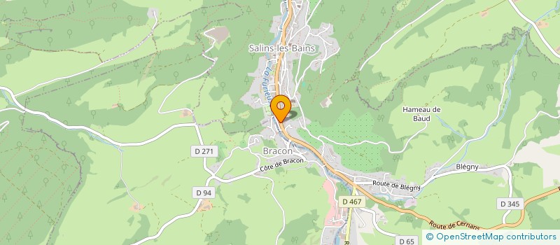 localisation de l'entreprise LA CHAMOISERIE  SALINS-LES-BAINS