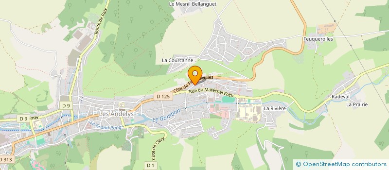 localisation de l'entreprise LA CHAUMONTAISE  MESNILS-SUR-ITON