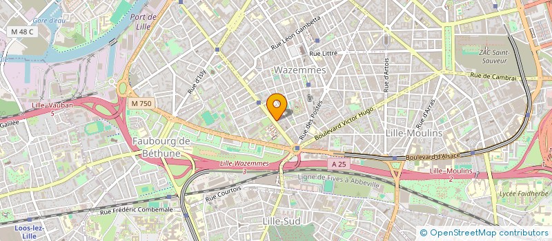 localisation de l'entreprise LA CHIMERE à LILLE
