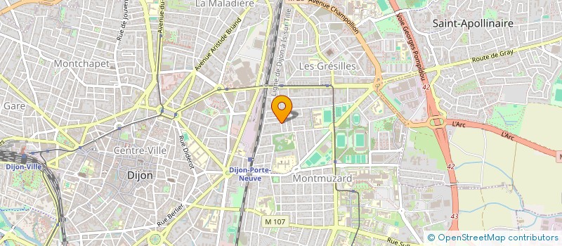 localisation de l'entreprise LA CHOUETTE EN BAL  DIJON