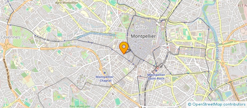 localisation de l'entreprise LA CIGALKEEETLA FOURMI à MONTPELLIER