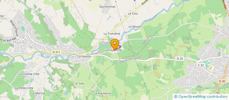 localisation de l'entreprise LA COMPAGNIE DE LA MAIN TATOUEE  THURINS