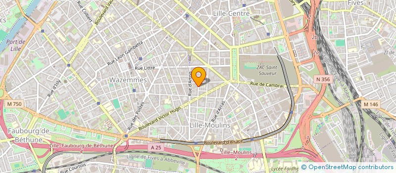 localisation de l'entreprise LA COMPAGNIE DES CHEMINS DE VERRE à LILLE
