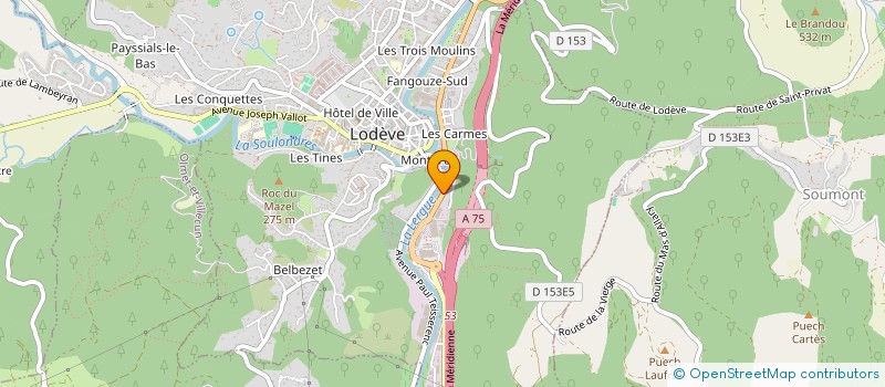 localisation de l'entreprise LA COMPAGNIE DES MENUISIERS 34  LODEVE