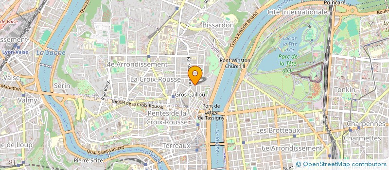 localisation de l'entreprise LA COMPAGNIE DU CHIEN JAUNE à LYON