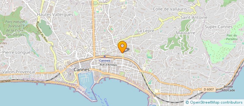 localisation de l'entreprise LA COMPAGNIE DU DOMICIL'  CANNES