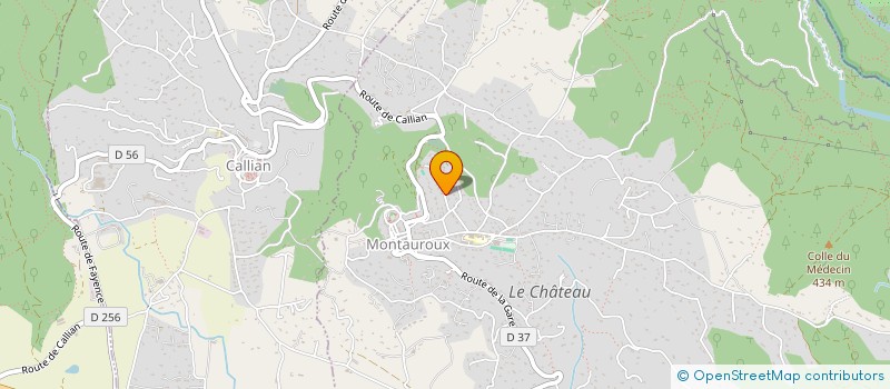 localisation de l'entreprise LA CONFRERIE DES JOUEURS DU CANTON à MONTAUROUX