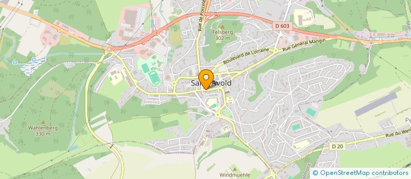 localisation de l'entreprise LA CORBEILLE DES DELICES à SAINT-AVOLD