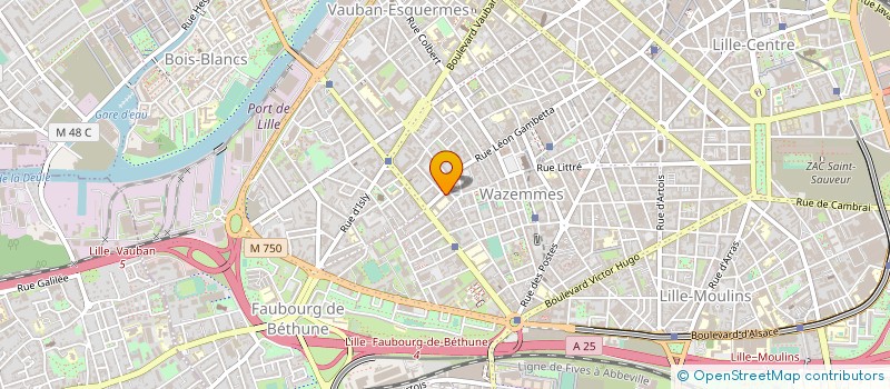 localisation de l'entreprise LA CRAVACHE D'OR à LILLE