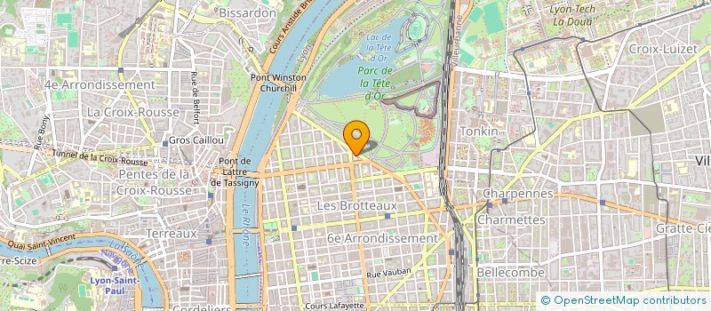 localisation de l'entreprise LA DENT DU BURGIN  LYON