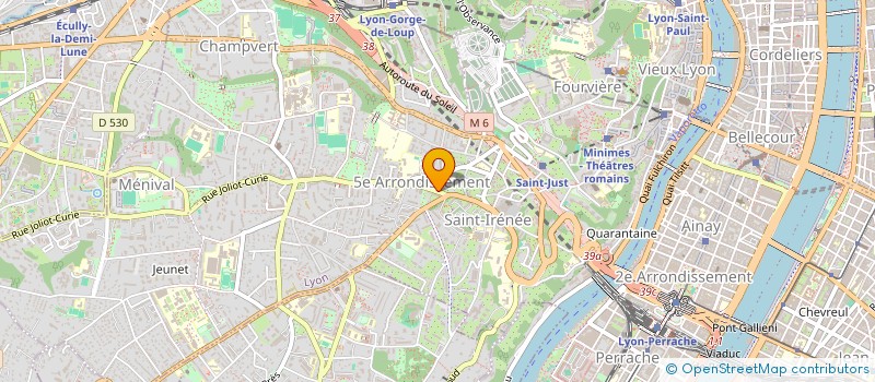 localisation de l'entreprise LA DIANE LYONNAISE à LYON