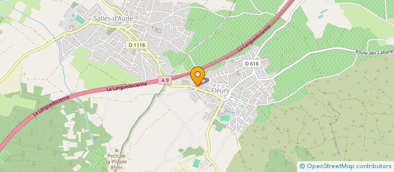 localisation de l'entreprise LA DIANETTE  FLEURY