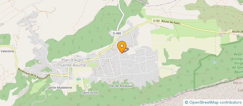 localisation de l'entreprise LA FAMILLE à PLAN-D'AUPS-SAINTE-BAUME