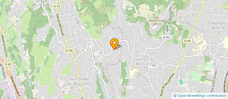 localisation de l'entreprise LA FERLATIERE  SAINT-DIDIER-AU-MONT-D'OR