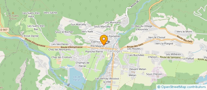 localisation de l'entreprise LA FERME DE BRESY  TANINGES