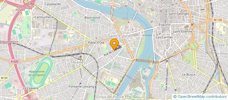 localisation de l'entreprise LA FEUILLE VERTE à TOULOUSE