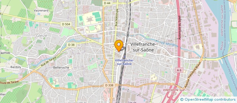 localisation de l'entreprise LA FLEUR DE L ORIENT à VILLEFRANCHE-SUR-SAONE