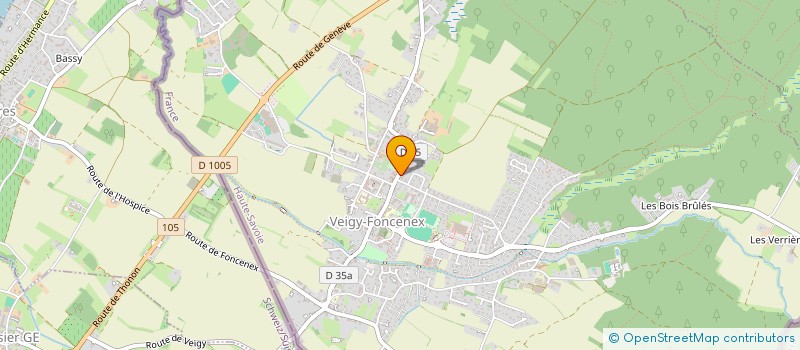 localisation de l'entreprise LA FLEUR DE VIE à VEIGY-FONCENEX