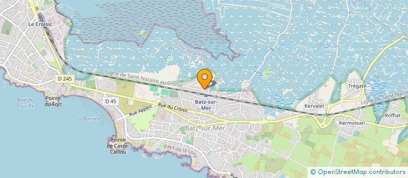 localisation de l'entreprise LA FLEUR ET LA COULEUR  BATZ-SUR-MER