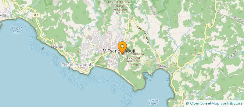 localisation de l'entreprise LA FLORE DE MAYOTTE à M'TSANGAMOUJI