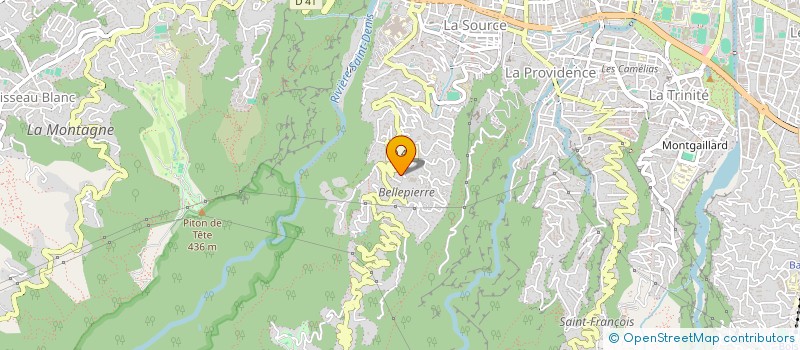 localisation de l'entreprise LA FLUTE ENCHANTEE  SAINT-DENIS