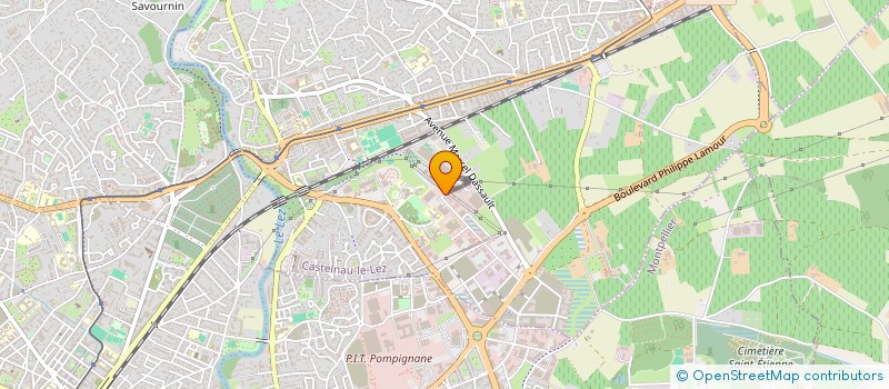localisation de l'entreprise LA FOLIE DES MIMOSAS  CASTELNAU-LE-LEZ