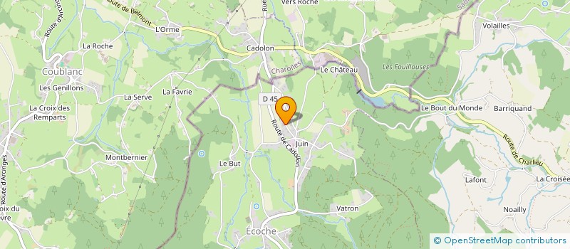 localisation de l'entreprise LA FORESTIERE DU ROANNAIS  ECOCHE