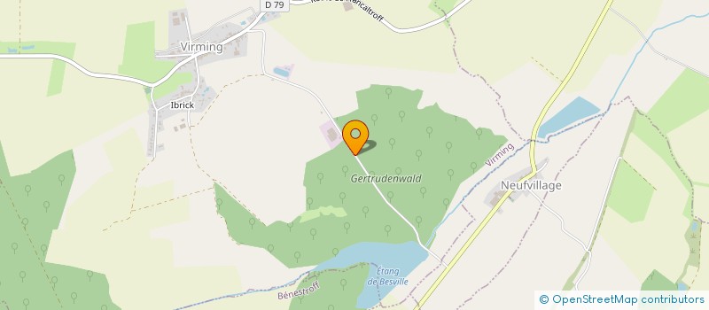 localisation de l'entreprise LA FORET  VIRMING