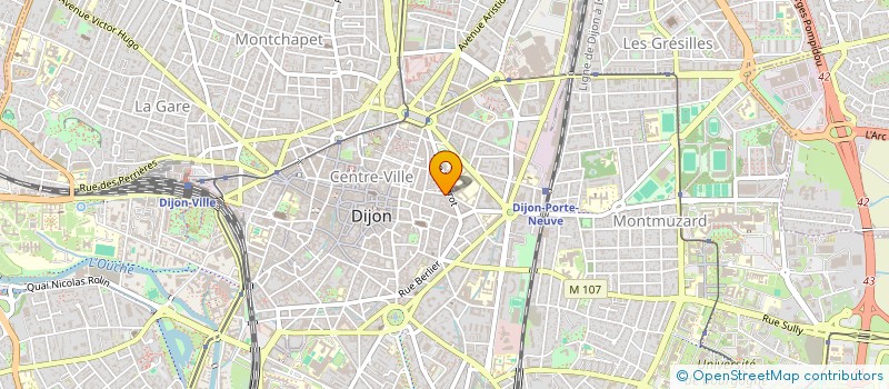 localisation de l'entreprise LA FORET APATRIDE  DIJON