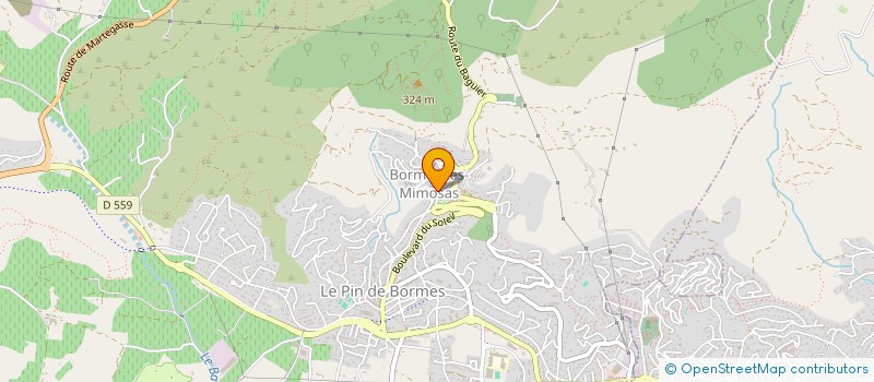 localisation de l'entreprise LA FOUGASSETTE à BORMES-LES-MIMOSAS