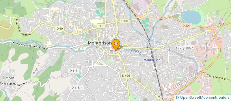 localisation de l'entreprise LA GAULE MONTBRISONNAISE  MONTBRISON