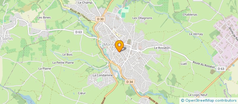 localisation de l'entreprise LA GAULE MORNANTAISE  MORNANT