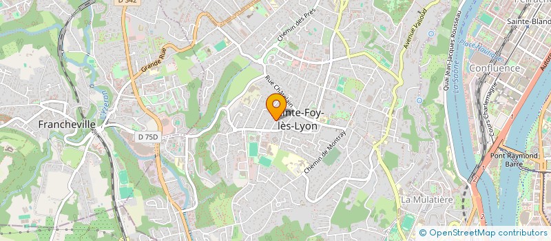 localisation de l'entreprise LA GIRAFE & CO  SAINTE-FOY-LES-LYON