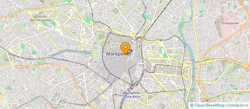 localisation de l'entreprise LA GRANGE D'ADELPHINE à MONTPELLIER