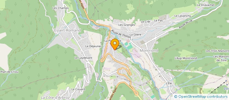 localisation de l'entreprise LA GRANGE DES PAS à MORZINE