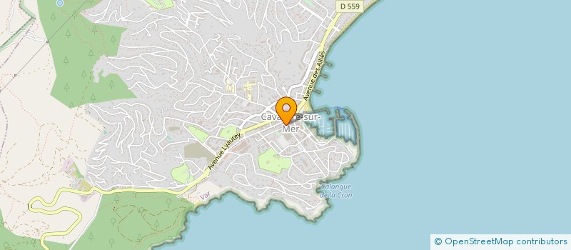 localisation de l'entreprise LA HALLE AUX POISSONS à CAVALAIRE-SUR-MER