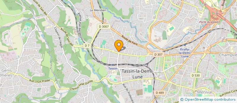 localisation de l'entreprise LA HOLDINGUE à TASSIN-LA-DEMI-LUNE