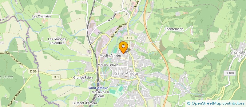 localisation de l'entreprise LA JOIE DE VIVRE  SAINT-AMOUR